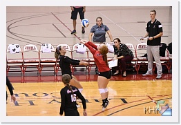 Set 1 * (104 Slides)